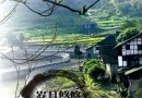 “法海你不懂爱”的争与不争