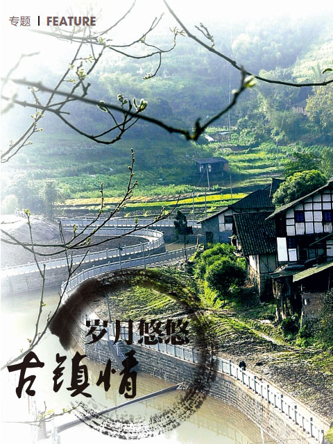 “法海你不懂爱”的争与不争