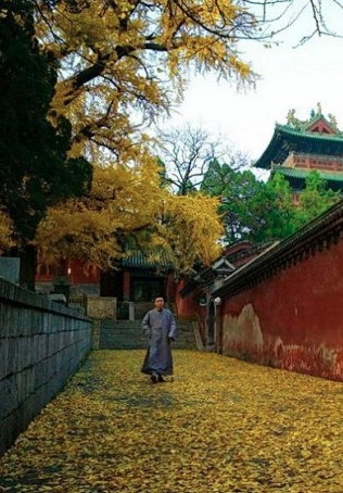 大连观海寺第二届“福慧行”丛林生活体验营暨菩萨戒