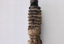 新疆龟兹故地发现佛教遗迹 展现1700年前世俗生活