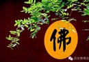2016西安佛博会拜访高僧大德纪实【周至.咸阳系列】