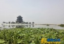 07-10~20 寒山书院第六届在家众佛学培训班开始报名