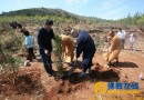 河北省三宝佛教慈善基金会联合唐山市佛教协会、千佛寺2016年度绿