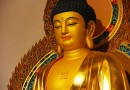 武汉新洲弥陀寺浴佛节法讯通启