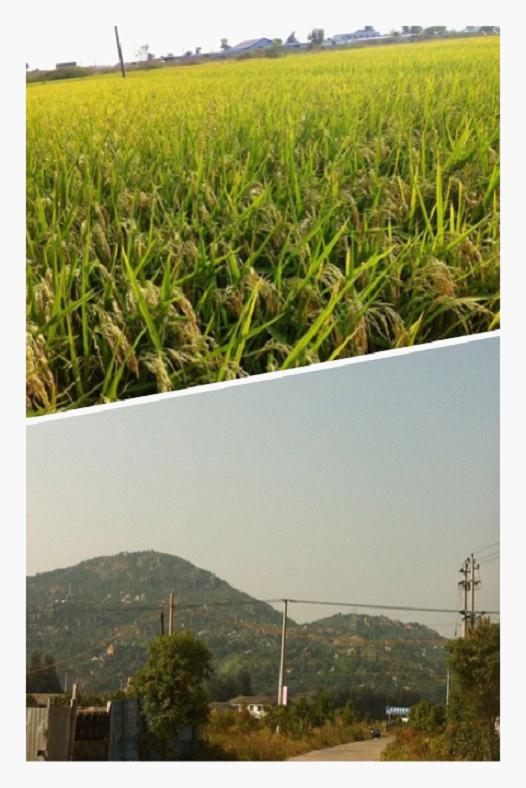 图片1.jpg 2012年9至12月第三届正念动中禅深修营报道