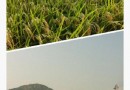 2012年9至12月第三届正念动中禅深修营报道