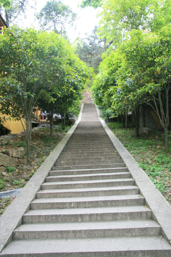 080534.jpg 2013年4月5日至12日仙岩寺禅七报道