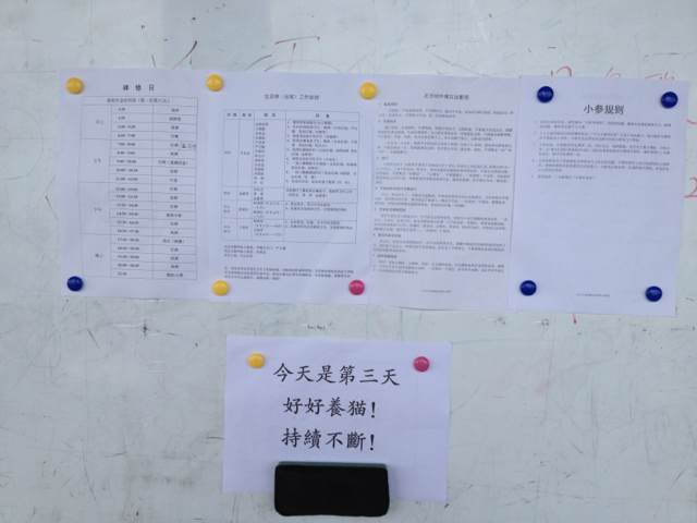 公告栏.jpg 2013年9月1日—7日福鼎资国寺禅七报道
