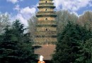 崇法寺塔护中州:融会南北造塔艺术
