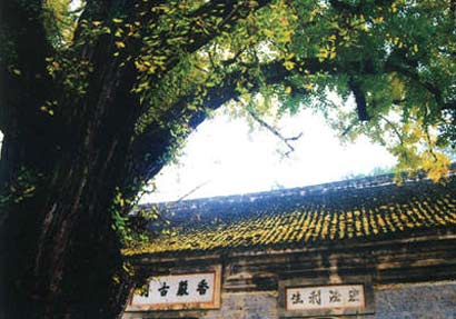 香严寺:深山古寺曾是大唐国师道场
