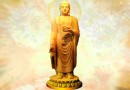 阿弥陀佛身世及成佛经历