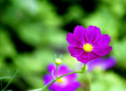 �ӿ�����ʼѧ��