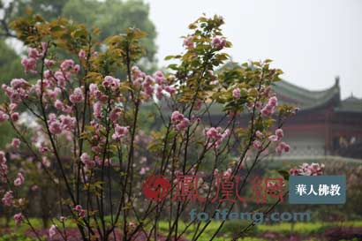 ���в��ɰ��Լ����ù���