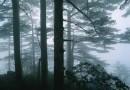 王维诗的禅趣美