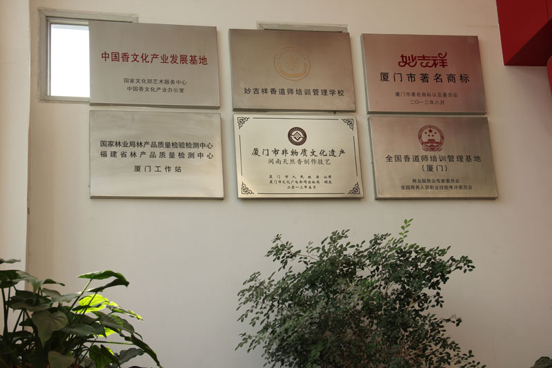 站长行:元旦与陈建兵