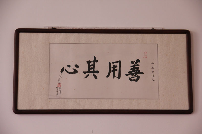站长行:元旦与陈建兵