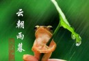 (转)心如凄冷风吹叶,身似苦海雨打萍---我见证的轮回
