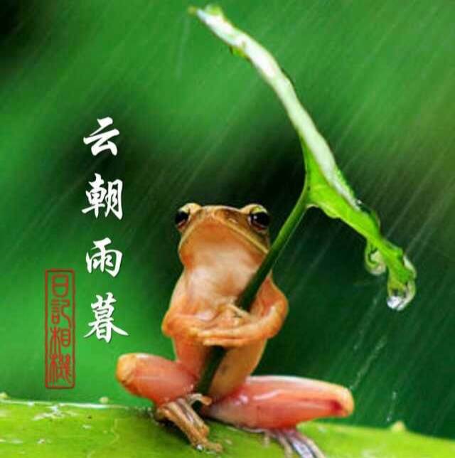 (转)心如凄冷风吹叶,身似苦海雨打萍---我见证的轮回
