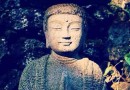 想必很多人都看过,再重温一下——悼念陈蔚