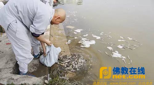 01-05 广东潮州佛母寺将举行腊月初八放生法会