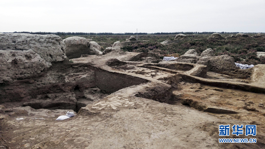 新疆龟兹故地发现佛教遗迹 展现1700年前世俗生活