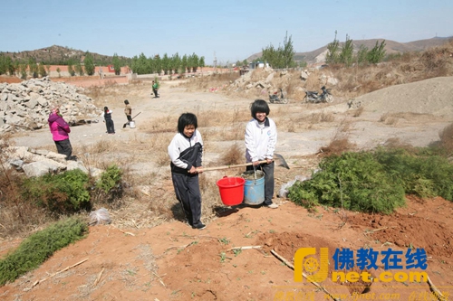 河北省三宝佛教慈善基金会联合唐山市佛教协会、千佛寺2016年度绿