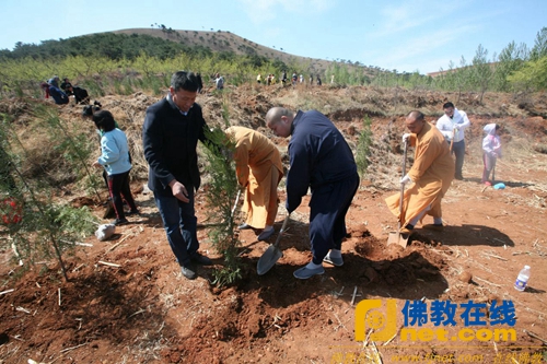 河北省三宝佛教慈善基金会联合唐山市佛教协会、千佛寺2016年度绿