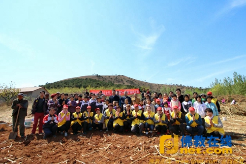 河北省三宝佛教慈善基金会联合唐山市佛教协会、千佛寺2016年度绿