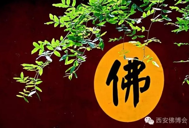 2016西安佛博会拜访高僧大德纪实【周至.咸阳系列】