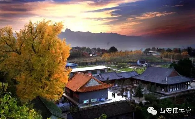终南山古观音禅寺 禅茶静修雅集